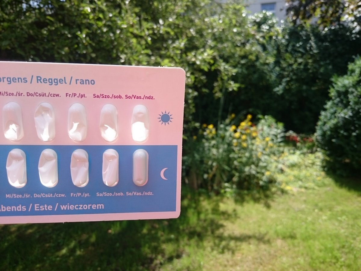 20170709_123432_DSC_0208