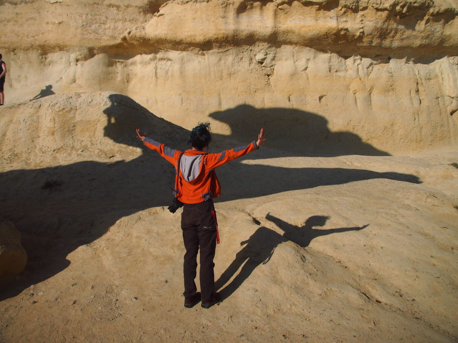 OLYMPUS DIGITAL CAMERA